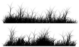 hoog gras, gras silhouet vector