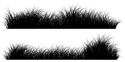 gras, weide, grasveld vector