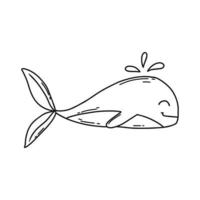 schattige walvis in doodle stijl. baby lijn walvis .vector afbeelding. vector