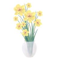 bloeiend boeket van gele narcissen bloemen in een glazen vaas vectorillustratie vector