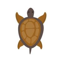 huisdier schildpad lijn icoon vector