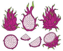 hand getekende set van dragon fruit op een witte achtergrond. vector