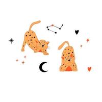 grappige oranje katten. katten en sterren. miauw magie. astrologische motieven. illustratie voor tarotkaarten vector