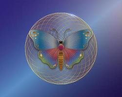 vlinder over mandala, heilige geometrie, logo symbool van harmonie en balans, torus yantra bloem. kleurrijk geometrisch ornament, yoga ontspannen, spiritualiteit, vector blauwe achtergrond met kleurovergang