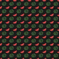 naadloos watermeloenpatroon. vector doodle illustratie met watermeloen. patroon met rode watermeloen