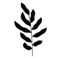 silhouet van decoratieve twijgen van planten met bladeren geïsoleerd op een witte achtergrond. vector