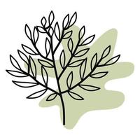 decoratieve takje met een blad, getekend met lijnen in de stijl van lijntekeningen, tegen een achtergrond van een groene geometrische abstracte vorm. exotische tropische compositie op een groene achtergrond vector