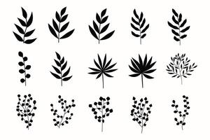 set van zwarte silhouetten van tropische bladeren, palmbomen, bomen, takken met bladeren. vector. vector