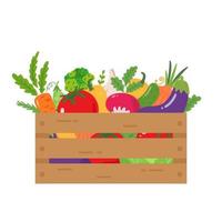 verse en biologische groenten. boodschappen voedsel concept. vers boerenproduct. gezond veganistisch eten. boerderij producten. handgetekende vectorelementen vector
