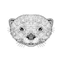 Aziatische tekening van een otterkop met kleine klauwen vector