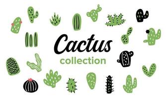 groene cactus illustratie vector collectie