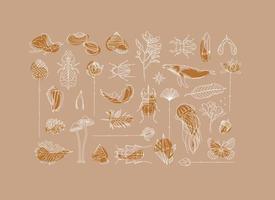 art deco flora en fauna collectie tekenen op beige achtergrond vector