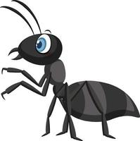 zwarte mier geïsoleerd op witte achtergrond vector