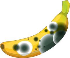 een banaan met schimmel vector