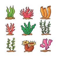 met de hand getekende verschillende zeeplanten vector