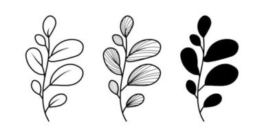eenvoudig overzicht kruid, bloemen icon set geïsoleerd op een witte achtergrond. vector hand getrokken schets, logo ontwerpelement. lijn kunst collectie. elegante botanische eucalyptustak met bladeren.