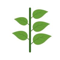 plant iii plat veelkleurig pictogram vector