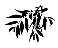 silhouet van takje met bladeren geïsoleerd op een witte achtergrond. zwarte tak. vectorillustratie. vector