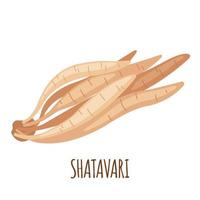 Shatavari wortels pictogram in vlakke stijl geïsoleerd op een witte achtergrond. asperges racemosus of shatamull. ayurvedische geneeskrachtige plant. vector illustratie