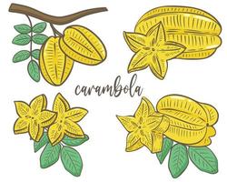 carambola set vector illustratie hand getekende exotische tropische gele vruchten