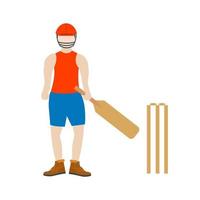 batting flat veelkleurig pictogram vector