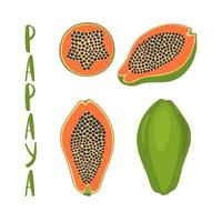 handgetekende vectorillustratie van hele en gesneden papaya vector