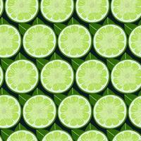limoen fruit plakjes naadloze patroon. kleurrijk vectorbehang. vector