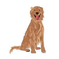 hond portret vectorillustratie vector