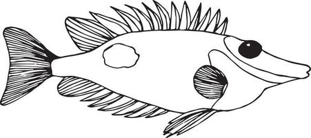 doodle vis op witte achtergrond vector