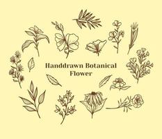set hand getrokken botanische bloem, blad en takken doodle. vintage botanische bloemen illustratie. vector