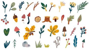 bos planten elementen. hand tekenen bos bomen, hennep, bladeren, kruiden, bessen en paddenstoelen. wilde botanische set. Scandinavische stijl cartoon vectorillustratie geïsoleerd. vector