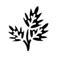 peterselie bladeren glyph pictogram vectorillustratie vector
