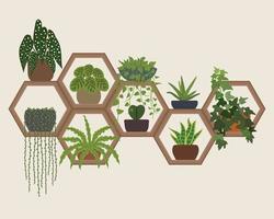 zeshoekige wandplanken planten decoratie vector