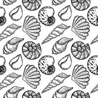 naadloze, handgetekende zeedieren doodle in schets stijl. schelpen. witte achtergrond. geïsoleerd. zomer. oceaan. plat ontwerp. vector illustratie