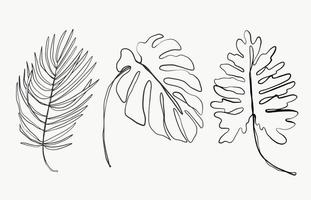 tropische palm monstera lijn bladeren en botanische bladeren kunst. mooie hand getekende exotische planten op witte achtergrond. abstracte moderne of minimale plantenlijn voor posters. vector ontwerp