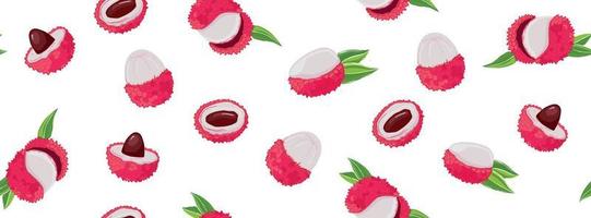 lychee set. Exotisch fruit. hand getekende illustratie. vector