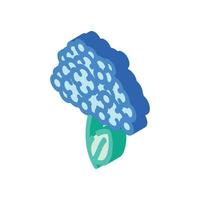 hortensia bloem isometrische pictogram vectorillustratie vector