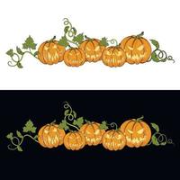 halloween. vectorillustratie van pompoenen voor kaarten, banners, stickers, flyers. gekleurde set pompoenen op een witte en zwarte achtergrond. vector