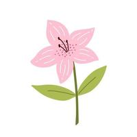 schattige azalea bloem met bladeren geïsoleerd op een witte achtergrond. vectorillustratie in handgetekende vlakke stijl. perfect voor kaarten, logo, decoraties, lente- en zomerontwerpen. botanische illustraties. vector