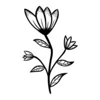 bloemen hand getekende vectorillustratie vector