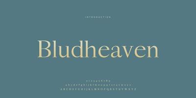 elegante bruiloft lettertype pro vector, luxe koninklijke abstracte minimale moderne lettertype vector