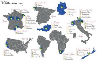 witte wijnkaart. wijnproductiekaart met druivenrassen. druivenstreken voor de wijnproductie. vector