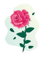 een vector roze roos in een vlakke stijl met gevallen bloemblaadjes op een achtergrond met gradiëntbellen
