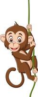cartoon baby aap hangend aan een boomtak vector
