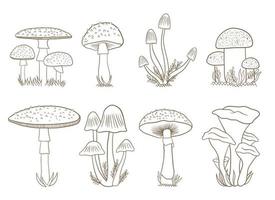 paddestoelen vector ontwerp illustratie geïsoleerd op een witte background