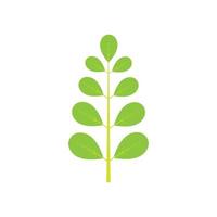 moringa blad logo illustratie vector ontwerp