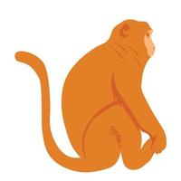 makaken vector stock illustratie. de aap zit. dier. geïsoleerd op een witte achtergrond.
