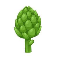 vectorillustratie van globe artisjok of groene distel bloemknop van cynara cardunculus. geïsoleerd op een witte achtergrond. gezonde groene groenten. verse Franse artisjokkoppen. vector