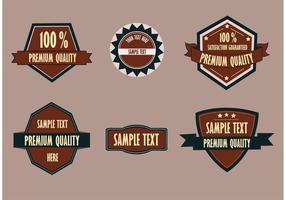 Premium badge set vector