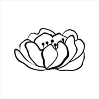 hand getekende schattige bloem. contour bloemen illustratie. vector